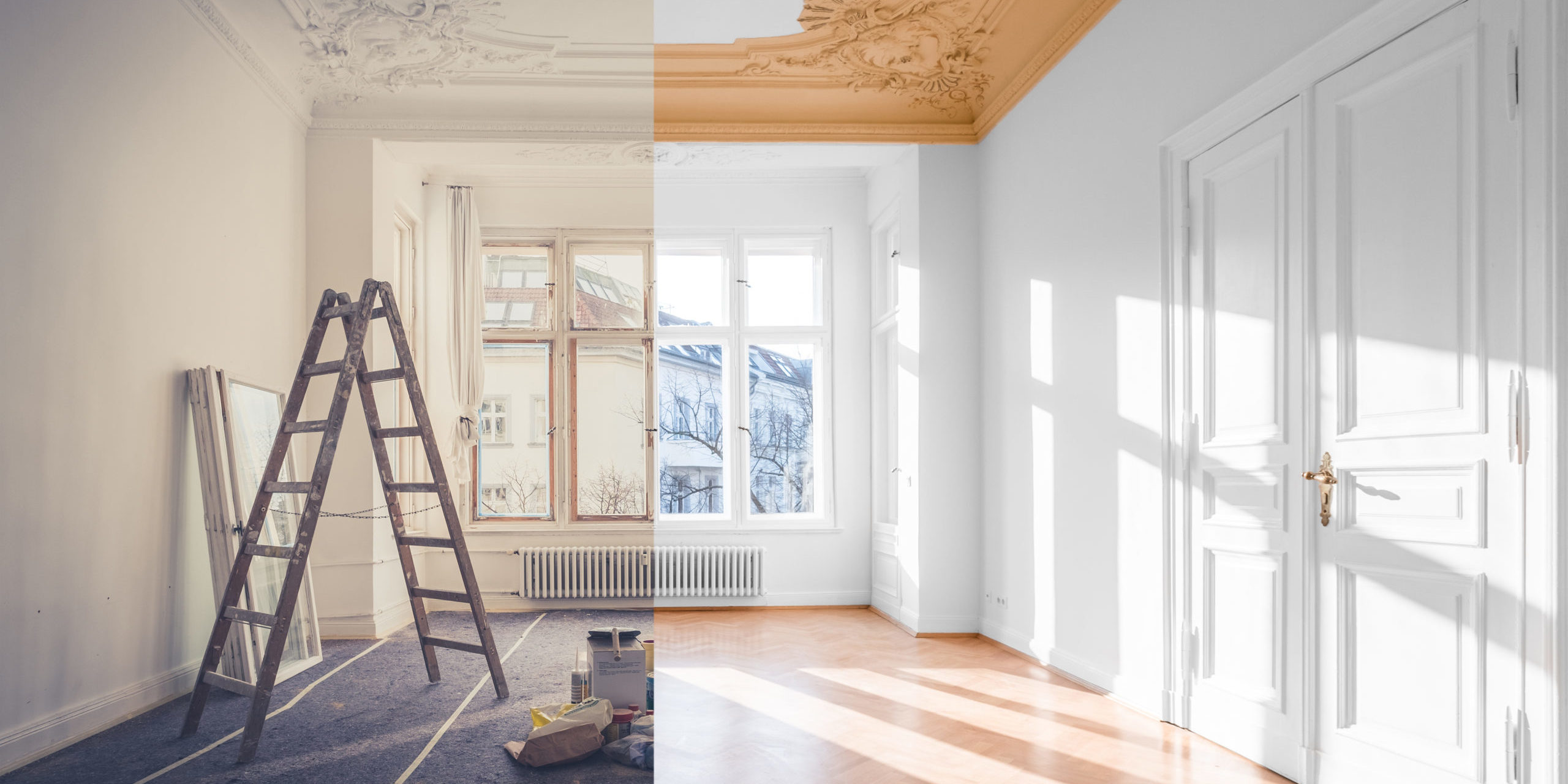 renovation Immobilier rénovation